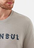 Mavi İstanbul Baskılı Gri Tişört 066282-31935