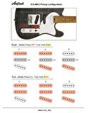 Aria Pro II 615MK2-MBWH Nashville Elektro Gitar
