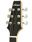 Aria Pro II 718MK2-MTWH Brooklyn Elektro Gitar