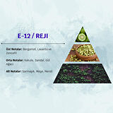 David Walker REJI E12 50ML Odunsu Erkek Parfüm