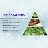 David Walker GARDENS E116 50ML Odunsu  Erkek Parfüm