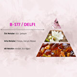 David Walker DELFI B177 50ML Çiçeksi Kadın Parfüm