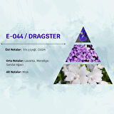 David Walker DRAGSTER E44 100ML Ferah&Meyve Erkek Parfüm