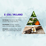 David Walker MILANO E156 100ML Çiçek&Meyve  Erkek Parfüm