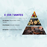 David Walker VANTES E159 100ML Baharat  Erkek Parfüm