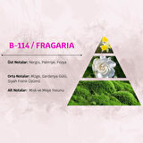David Walker FRAGARIA B114 100ML Çiçek Kadın Parfüm