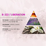 David Walker LIBERATION B222 50 ML Bayan Parfüm