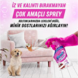 Oxi Action Çok Amaçlı Halı, Koltuk ve Evcil Hayvan Leke Çıkarıcı Sprey 500 ml X2