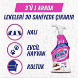 Oxi Action Çok Amaçlı Halı, Koltuk ve Evcil Hayvan Leke Çıkarıcı Sprey 500 ml X2