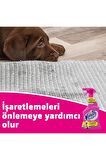 Vanish Kosla Pet Leke Çıkarıcı ve Koku Giderici Sprey 500 mL x 2