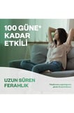 Air Wick Elektrikli Oda Kokusu Kit Turkuaz Sular