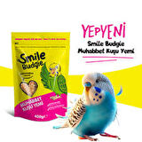 SMİLE BUDGİE MUHABBET KUŞ YEMİ 400GR  SML-023