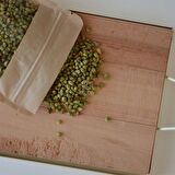 Bilye Kekik - (Bitki Çayı - Baharat - Tomurcuk Dağ Kekiği - Yeni Mahsul Top Kekik) - 30 Gr.