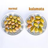 Ev Yapımı Geleneksel Kalamata İri Boy Yeşil Çizik Zeytin Palamut - 2 Kg. (Sadece Tuz ve Su İçerir)