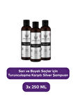 Ashley Joy  Sarı ve Platin Saçlara Özel Turunculaşma Karşıtı Mor Şampuan 250 ML x3 Avantajlı Set