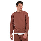 Sottile Erkek Kahverengi Günlük Stil Sweatshirt 24YETL13D08-KHV