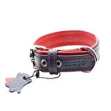 Zampa Yumuşak Dokulu Gerçek Deri Flatiron Köpek Boyun Tasması 4x72 cm cm, L