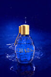 Chaos Elixir Parfum EDP -100 ml (EGY0048)