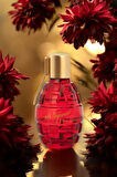 Mon Dieu Parfum EDP- 100 ml (EGY0053)