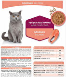 Katzoo  Somonlu Kedi Maması 15 kg 