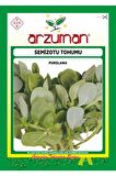 Yeşim Semizotu Tohumu 10 Gram