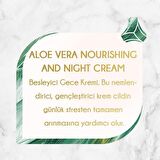 Artexan Aloe Vera Tüm Cilt Tipleri İçin Su Bazlı Yağsız Besleyici Yüz Bakım Kremi 50 ml