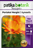 30 Adet Portakal Nergisi - Aynı Sefa (calendula Officinalis) Çiçek Tohumu 