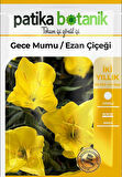 100 Adet Ezan Çiçeği (Oenothera) Çiçek Tohumu 