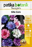 Kontur (centaurea) Çiçek Tohumu 50 Adet