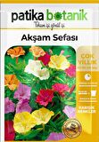 15 Adet Akşam Sefası Tohumu