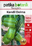 200 Adet Kandil Dolma Biber Tohumu 