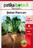150 Adet Şeker Pancarı Tohumu