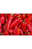 200 Adet Kapya Biber Tohumu