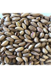 Glutensiz Antep Fıstığı 1000 g