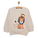 HelloBaby Basic Aslan Desenli Sweatshirt Erkek Bebek