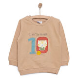 HelloBaby Basic Number Ten Desenli Sweatshirt Erkek Bebek