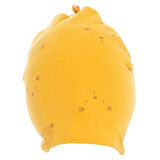 Little Plane Polarlı Unisex Bere Unisex