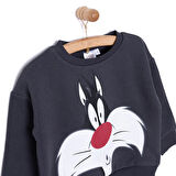 Loney Tunes LooneyTunes Looney Tunes Erkek Sweatshirt Erkek Bebek