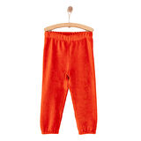 HelloBaby Erkek Bebek Basic Eşofman Alt Kadife Lastikli Paça Ekru