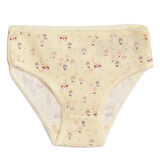 HelloBaby Hello Baby 3'lü Slip Külot Kız Bebek