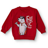 HelloBaby Erkek Bebek Sweatshirt Şardonlu İki İplik Bisiklet Yaka Uzun Kol