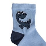 HelloBaby 3lü Soket Çorap