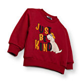 HelloBaby Erkek Bebek Sweatshirt Şardonlu İki İplik Bisiklet Yaka Uzun Kol