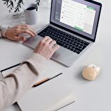 Mofii Wireless Mouse Renkli Tavşan Tasarım Kablosuz Sessiz Bilgisayar Notebook Laptop için USB Nano Receiver Mouse Tak Çalıştır 9.2cm x 6cm (Kahverengi)
