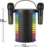 Coverzone Kablosuz Mikrofonlu Karaoke Makinesi Seti TF Kart ve USB Girişli Karaoke Hoparlör Yetişkinler ve Çocuklar İçin Her Yerde Eğlence 18cm x12cm Y-888