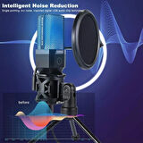 Coverzone Bilgisayar RGB Mikrofon 20-20kHz Profesyonel Podcast Mikrofon Kiti Tak Çalıştır USB Kablolu Pc Dizüstü Bilgisayar Için Vlog Youtuber Kick Canlı Yayın X1R