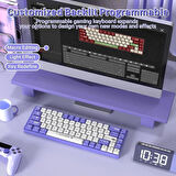 Coverzone AJAZZ AK680 65% Kablolu Hotswap Mekanik Oyun Klavyesi,68 Tuşlu Taşınabilir Anti-Ghosting Klavye,Gökkuşağı Arkadan Aydınlatmalı Programlanabilir,EVA Sandviç,Ergonomik Mor Beyaz/Brown Switch