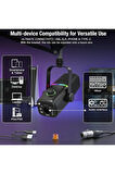 Profesyonel Ses Kartı ve Mikrofon Set Kayıt Condenser Masaüstü Canlı Yayın Mikrofonu P100KD8
