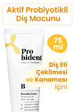 Probident Aktif Probiyotik Diş Macunu Akgünlük Özüt Ilaveli Diş Ve Diş Etleri Için Koruma Boswellia