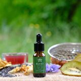 Bukhet Paçuli Yağı 10 ML
